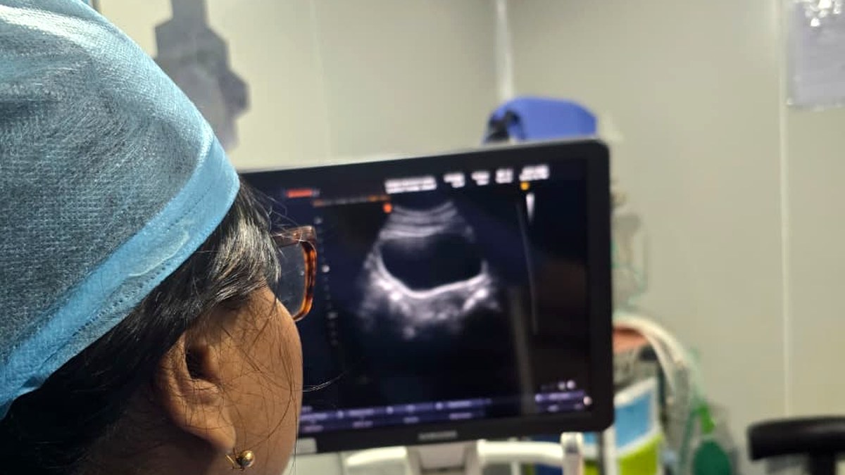 Modern ultrasound and diagnostics support